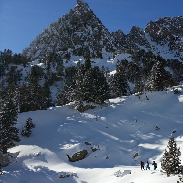 Hivern a l'estany