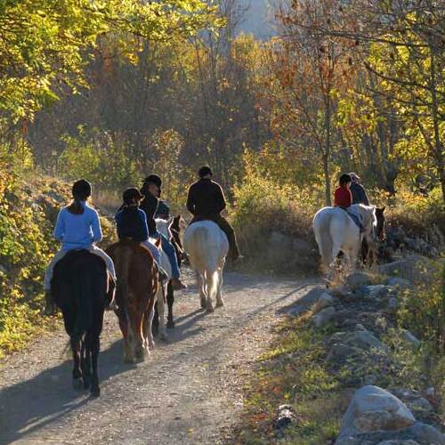 Excursions a cavall