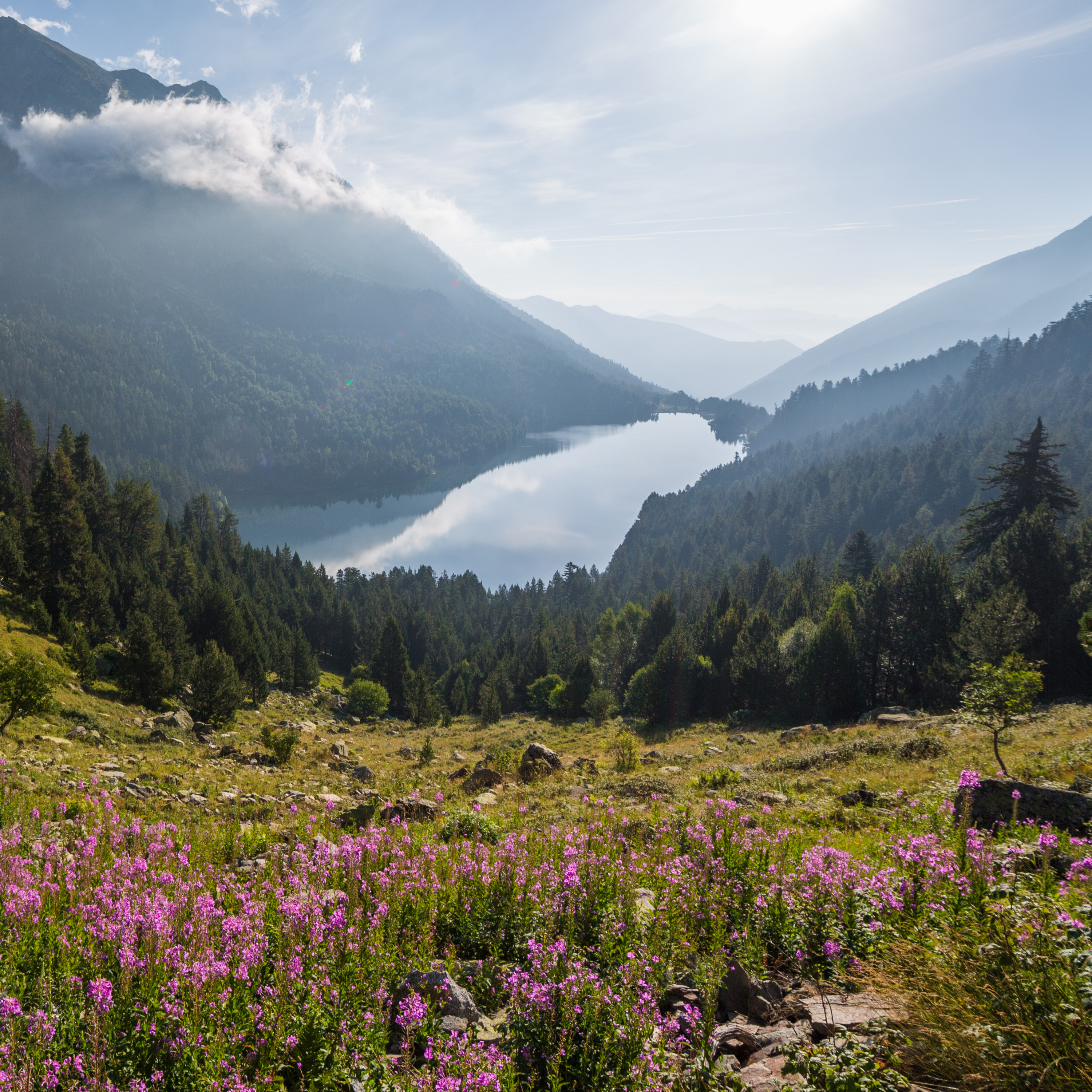 Primavera a l'estany